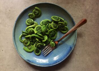 Fiddleheads Recipe & Nutrition |  Encyclopedia of Food
