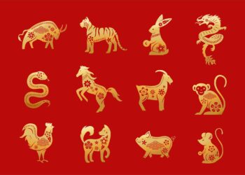 The Popularity of Horoscope and Zodiac Signs in China