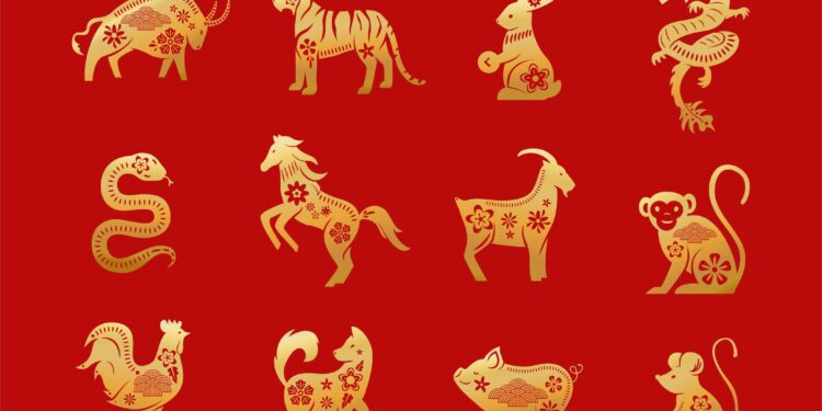 The Popularity of Horoscope and Zodiac Signs in China